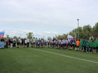 photo_5285146855220574419_y