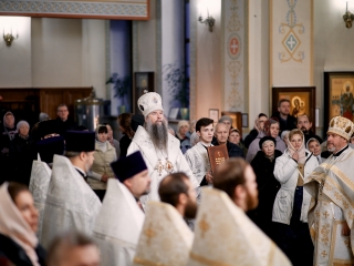 ankphoto_-37
